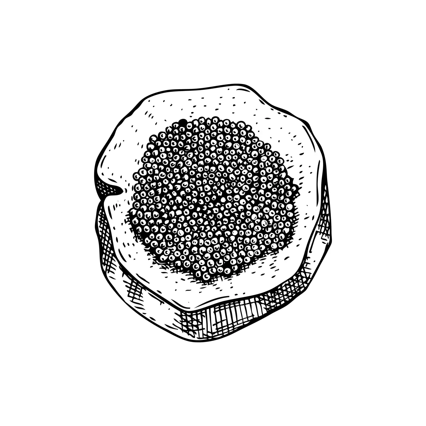 Hand-drawn sketch of caviar on a bread slice isolated on a white background. Black caviar canape vector drawing in engraved style. Seafood delicacy illustration for restaurant or finger food menu Illustration